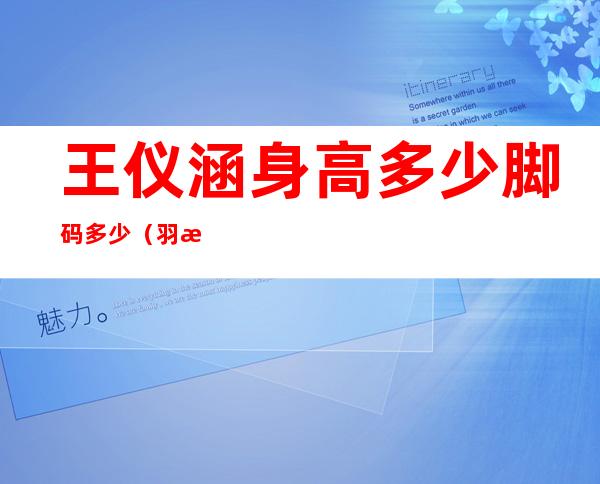 王仪涵身高多少?脚码多少（羽毛球冠军王仪涵身高）