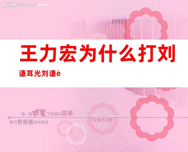 王力宏为什么打刘谦耳光刘谦被打事件介绍 _王力宏为什么打刘谦耳光