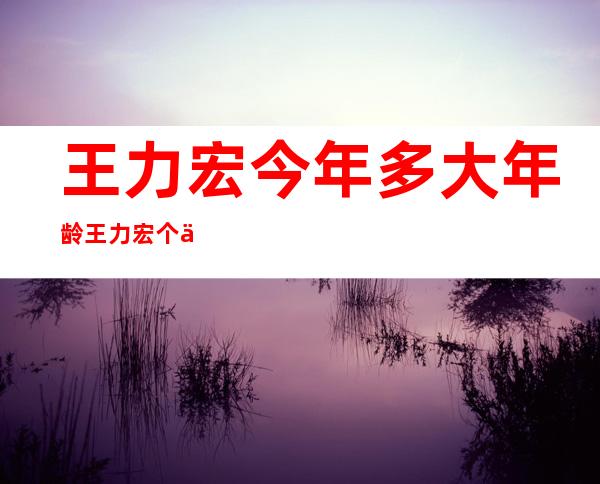 王力宏今年多大年龄王力宏个人资料简介