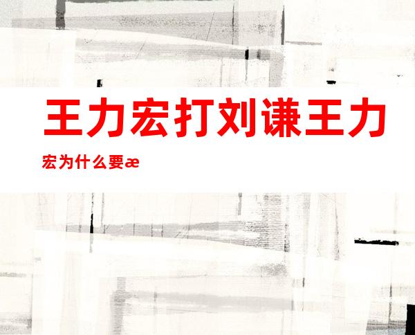 王力宏打刘谦 王力宏为什么要打刘谦