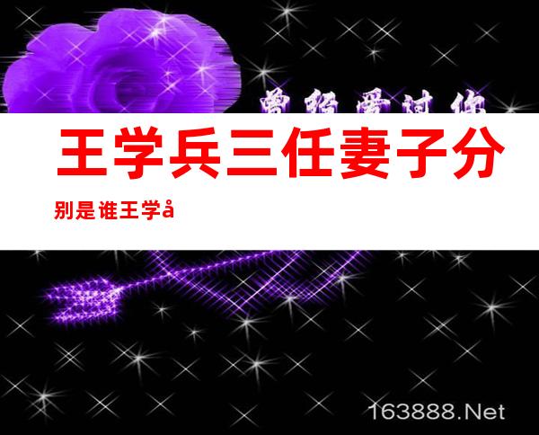 王学兵三任妻子分别是谁 王学兵历任老婆资料介绍