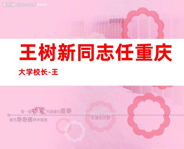 王树新同志任重庆大学校长-王树新 工程院院士哪里人