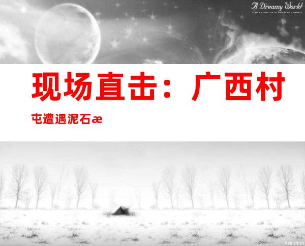 现场直击：广西村屯遭遇泥石流 4名村民遇难1人失联