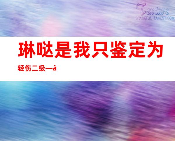 琳哒是我 只鉴定为轻伤二级——琳哒是我的名字用英语说