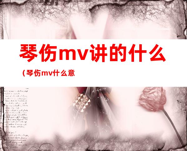 琴伤mv讲的什么（琴伤mv什么意思）