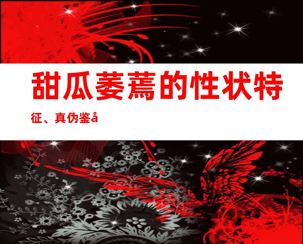 甜瓜萎蔫的性状特征、真伪鉴别、采购要点选择及食疗药膳