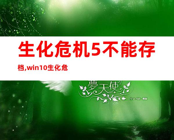 生化危机5不能存档,win10生化危机5无法存档