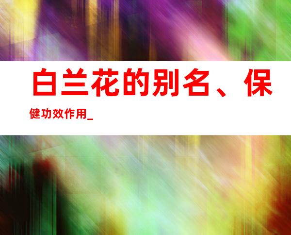 白兰花的别名、保健功效作用_白兰花的食疗偏方与特点