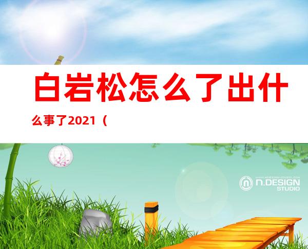 白岩松怎么了出什么事了2021（白岩松怎么了出什么事了知乎）