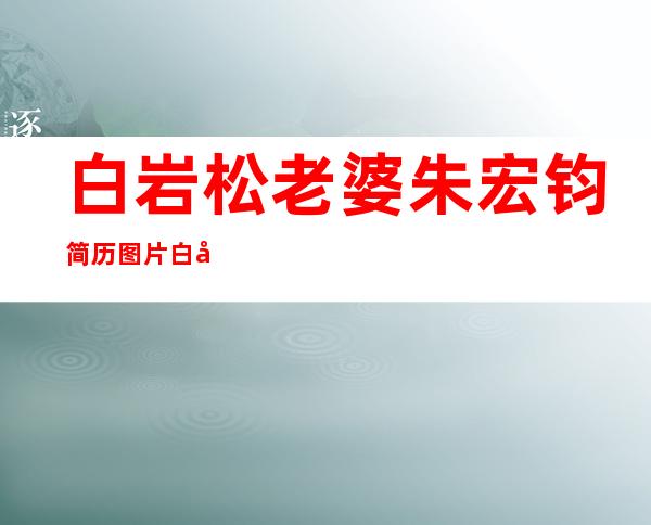 白岩松老婆朱宏钧简历图片 白岩松红薯追老婆趣闻轶事