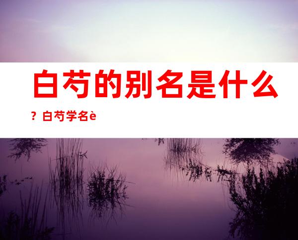 白芍的别名是什么？白芍学名药名又叫什么