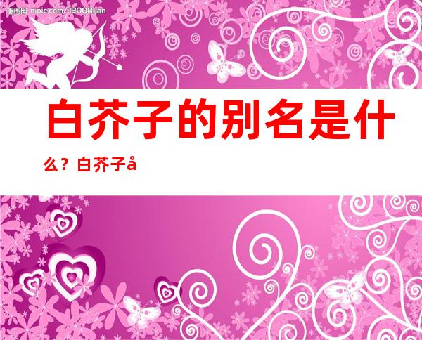 白芥子的别名是什么？白芥子学名药名又叫什么