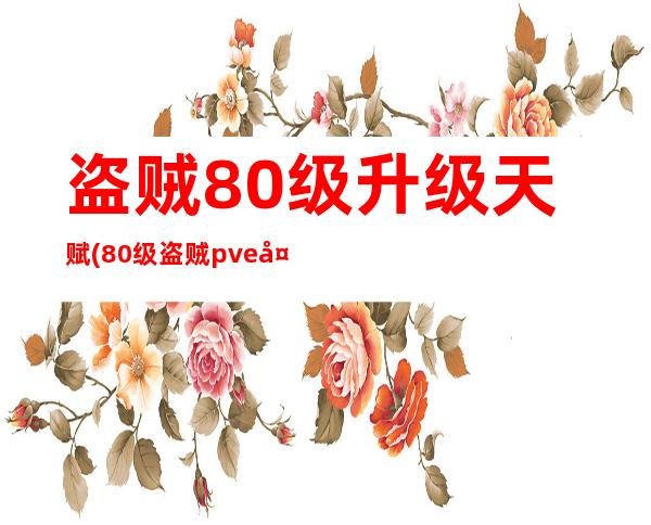 盗贼80级升级天赋(80级盗贼pve天赋加点)