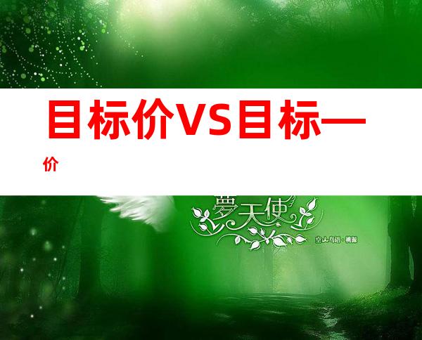 目标价 VS 目标—价