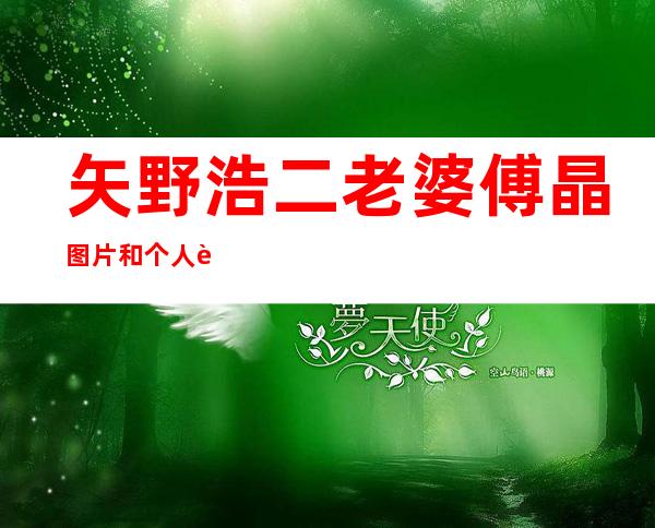 矢野浩二老婆傅晶图片和个人资料及近况和图片 _矢野浩二老婆傅晶图片和个人