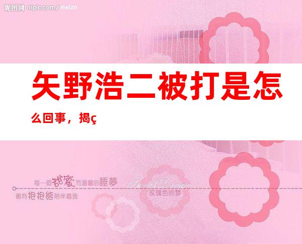 矢野浩二被打是怎么回事，揭秘矢野浩二被国人暴打的原因