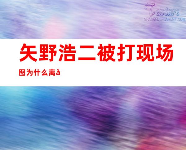 矢野浩二被打现场图 为什么离开天天向上 矢野浩二资料