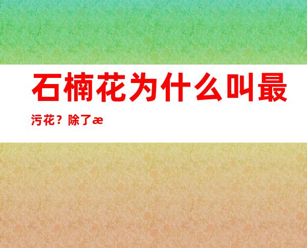 石楠花为什么叫最污花？除了气味它身上都是宝藏