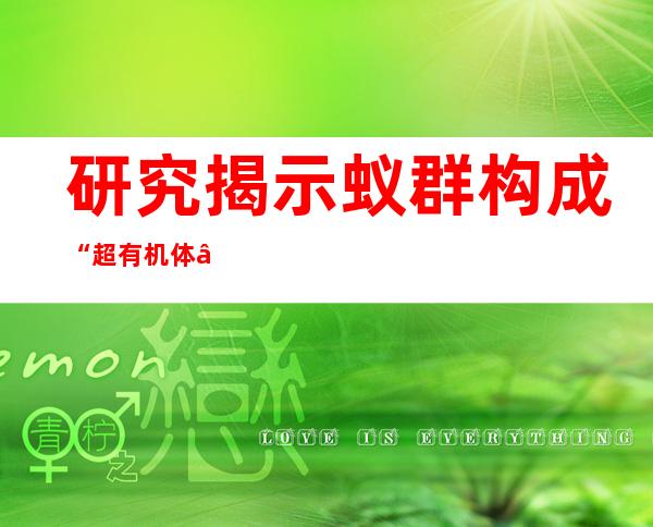 研究揭示蚁群构成“超有机体”的份子机制