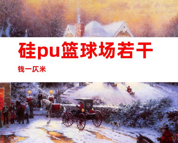 硅pu篮球场若干 钱一仄米