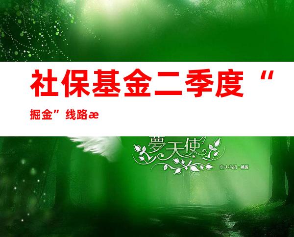 社保基金二季度“掘金”线路曝光 13只股票涨幅超20%