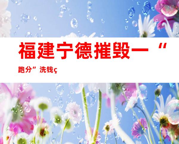 福建宁德摧毁一“跑分”洗钱犯罪团伙 涉案流水金额一亿多元