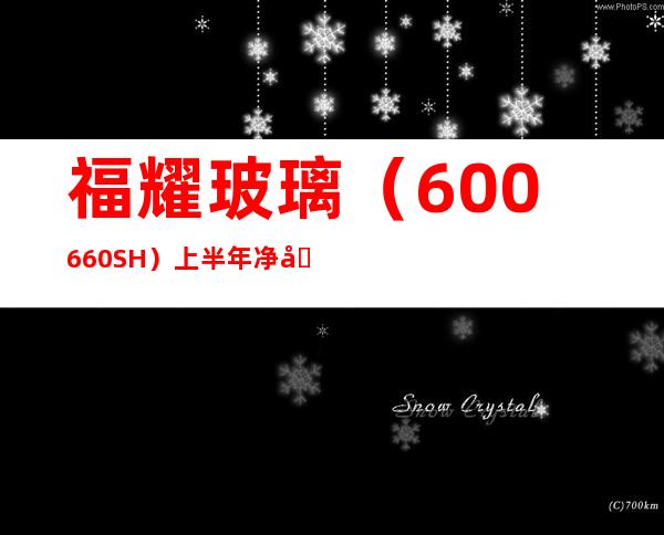 福耀玻璃（600660.SH）上半年净利上涨83.54%至17.69亿元