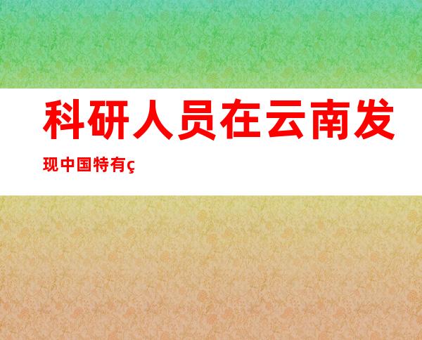 科研人员在云南发现中国特有疣螈属新种