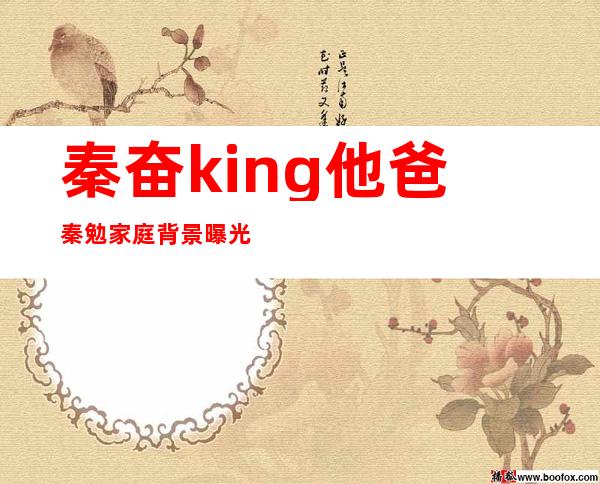 秦奋king他爸秦勉家庭背景曝光 和王思聪谁有钱