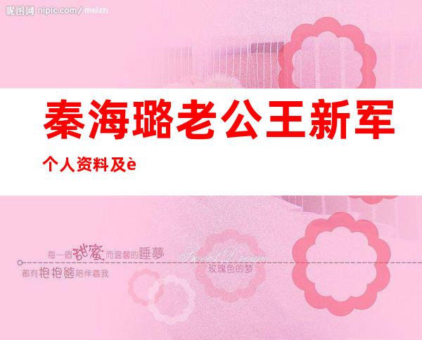 秦海璐老公王新军个人资料及近况和图片 _秦海璐老公王新军个人资料及