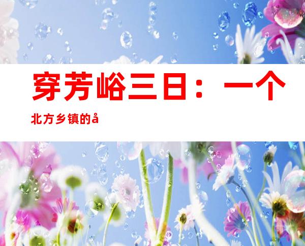 穿芳峪三日：一个北方乡镇的冬季防疫见闻