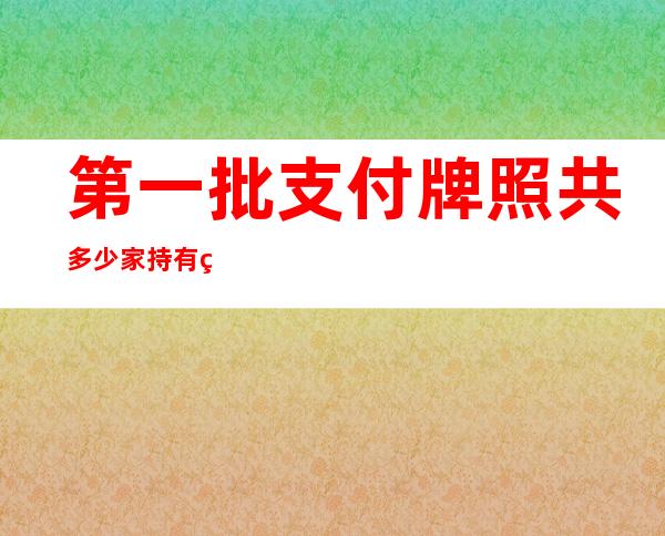 第一批支付牌照共多少家  持有第一批支付牌照都是那些企业