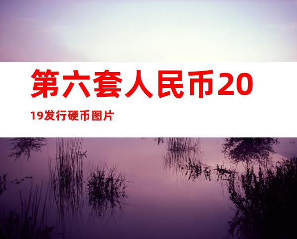 第六套人民币2019发行硬币图片（第六套人民币2019发行冠号补号）