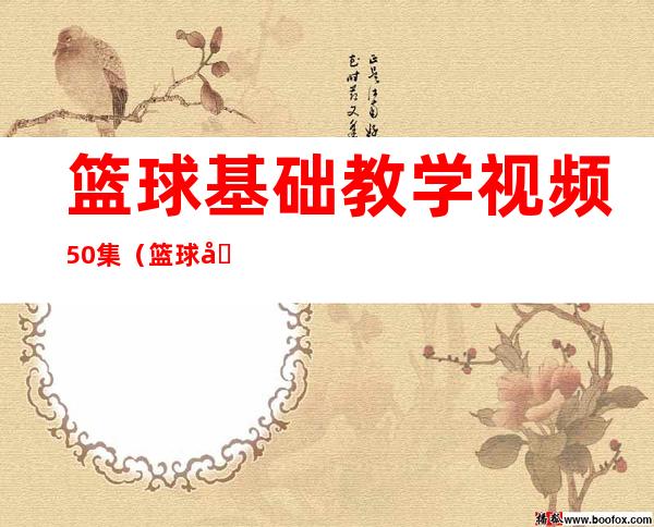 篮球基础教学视频50集（篮球基础教学教案16篇）