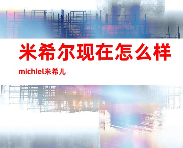 米希尔现在怎么样 michiel米希儿外围女事件始末