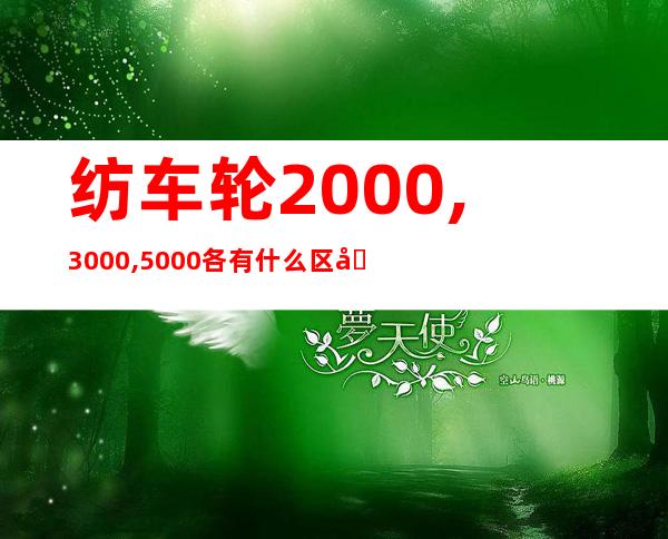 纺车轮2000,3000,5000各有什么区别（纺车轮速比是什么意思）