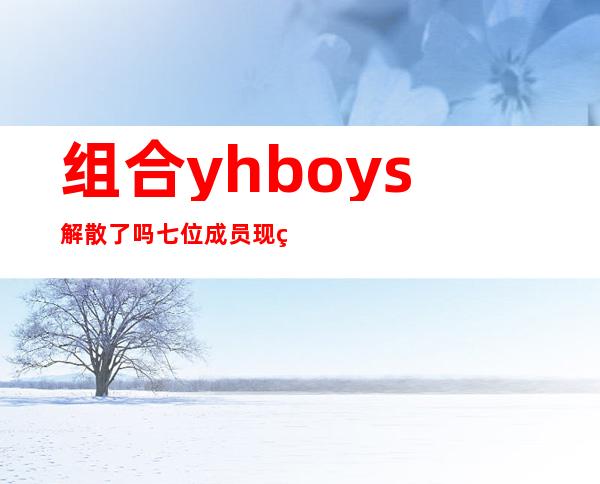 组合yhboys解散了吗 七位成员现状起底是谁退团了呢？