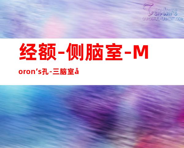 经额-侧脑室-Moron’s孔-三脑室前部肿瘤切除术