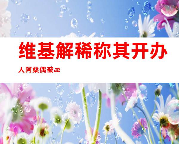 维基解稀称其开办 人阿桑偶被断网 希推面或者是幕后乌脚