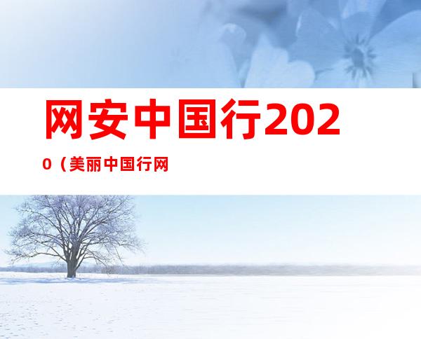 网安中国行2020（美丽中国行网）