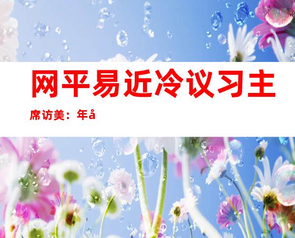 网平易近 冷议习主席访美：年夜 洋此岸 掀起了“习旋风”