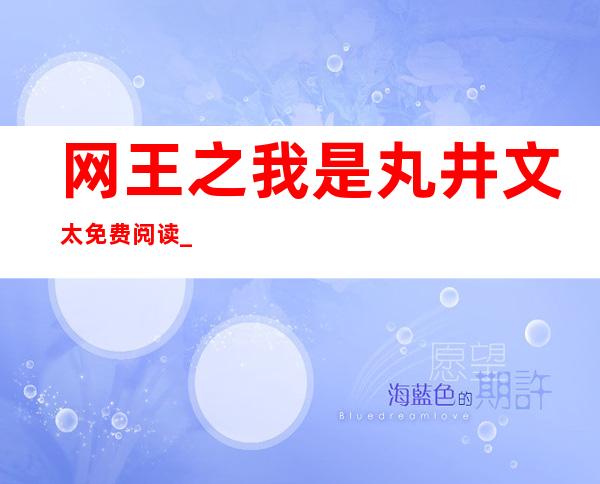 网王之我是丸井文太免费阅读_丸井文太和芥川慈郎