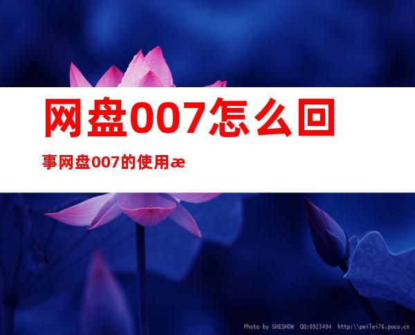 网盘007怎么回事网盘007的使用方法介绍电脑网