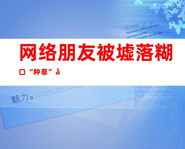 网络朋友被墟落糊口“种草” 农产物经由过程乐趣电商打开新销路