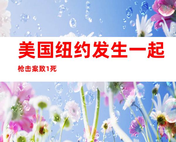 美国纽约发生一起枪击案致1死8伤