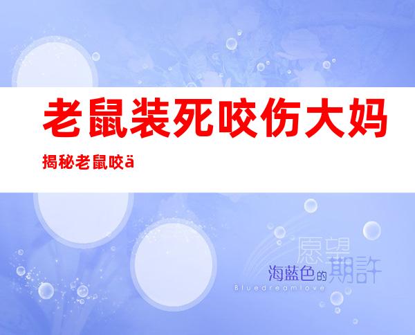 老鼠装死咬伤大妈 揭秘老鼠咬伤大妈背后内幕令人震惊