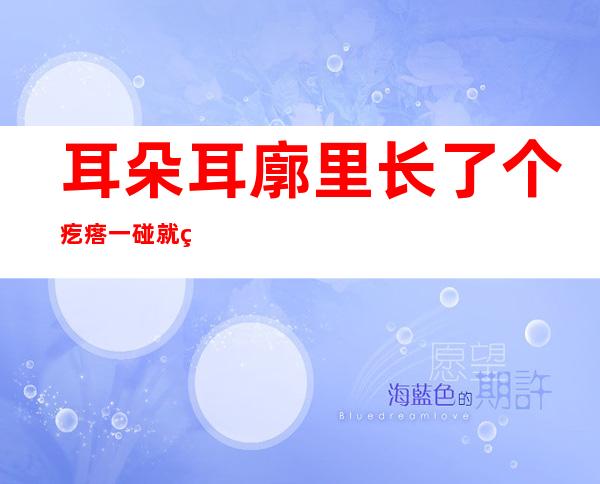 耳朵耳廓里长了个疙瘩一碰就疼（耳朵后面长了个硬包是什么原因）