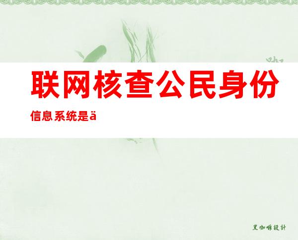 联网核查公民身份信息系统是什么？它有什么意义和功能？