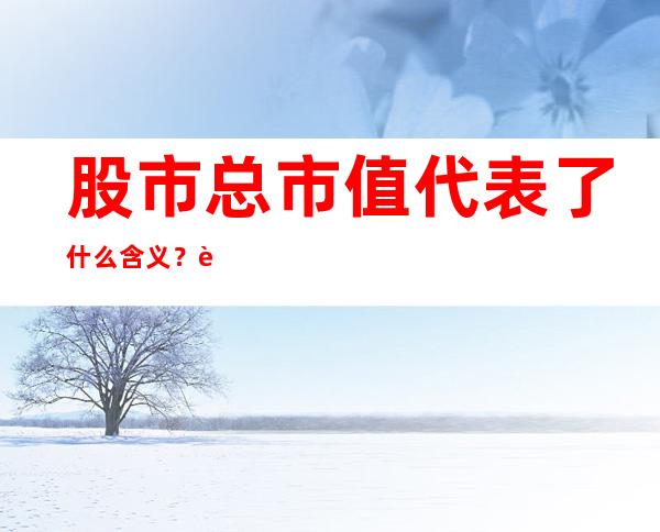 股市总市值代表了什么含义？股市总市值与流通市值的区别？  　　