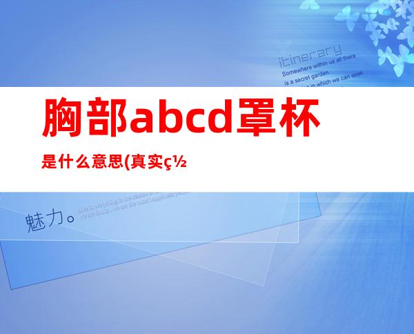 胸部abcd罩杯是什么意思(真实罩杯a到g示意图)